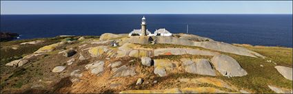 Montague Island - NSW (PBH4 00 9644)
